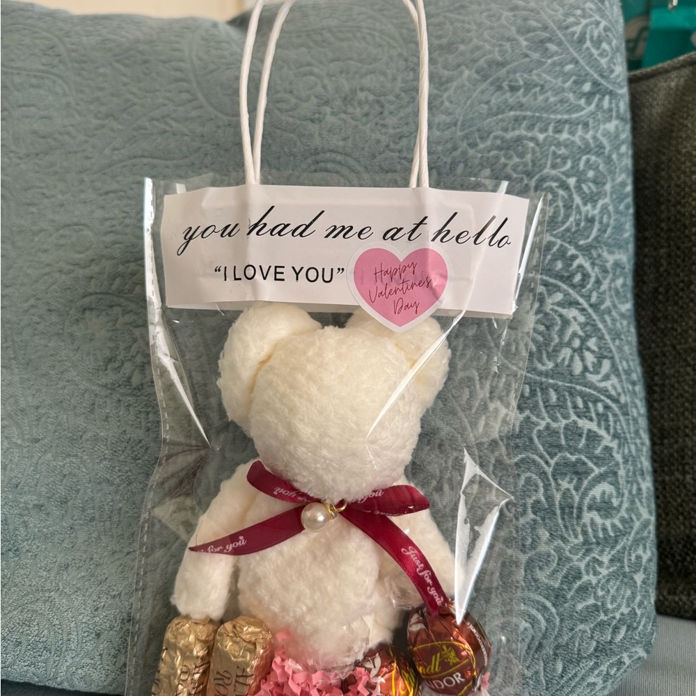 Valentine's Day Teddy Bear Gift Set